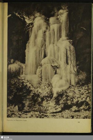 Eismärchen im Plauenschen Grund
