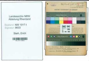 Entnazifizierung Erich Steih , geb. 11.01.1906 (Malermeister)