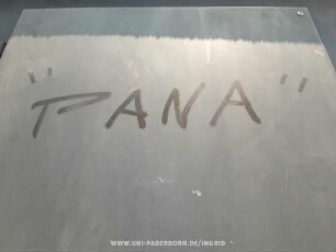 "PANA"
