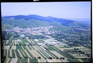 Ihringen: Ihringen Gesamtbild von Süden