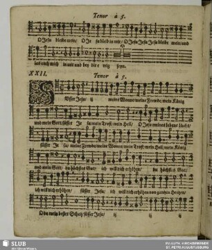 XXII. Süßer Jesu meine Freude meine Wonne