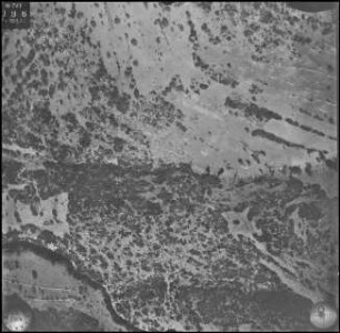 Aufnahme 019