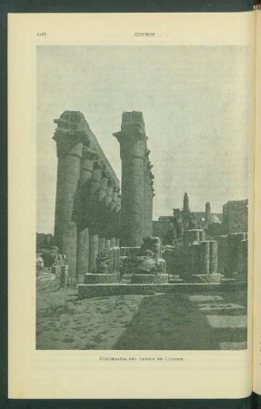 Columnatas del Templo de Lucksor. [Fotografía]