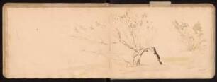 29v-30r 27.II.1884 im W. el-Atali