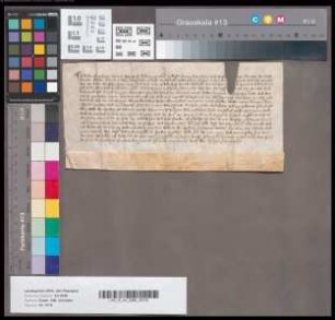 Revers des Diedrich Viting von Horl über die Verwaltung des Oberhofes Ückendorf.
