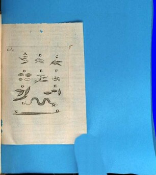 Arcana naturae, ope et +& beneficio exquisitissimorum microscopiorum detecta, variisque experimentis demonstrata : una cum discursu & ulteriori dilucidatione; epistolis suis ad Celeberrimum ... Philosophorum Collegium datis, comprehensa
