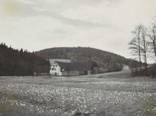 Bienhof (Oelsen), Hammergut Bienhof im Mordgrund
