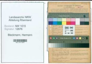 Entnazifizierung Hermann Bleckmann , geb. 26.09.1906 (Techniker)