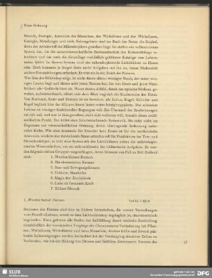 1. Werden kleiner Formen