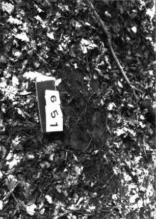 Grabstein 651