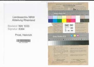 Entnazifizierung Heinrich Prost , geb. 26.03.1892 (Polizeiobermeister)