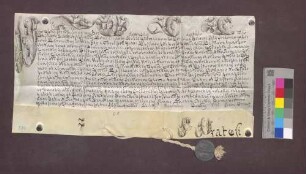 Papst Pius VI. konfirmiert die Wahl des Friedrich Ludwig von Wangen-Geroldseck zum Bischof von Basel.