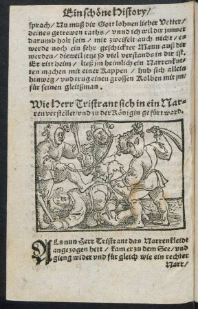 Wie Herr Tristrant sich in ein Narren verstellet/ und zu der Königin gefürt ward.