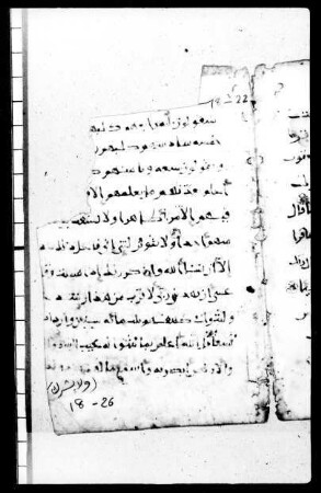 al- Qurʾān [DAM 11-8.1]