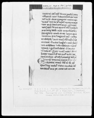 Sermones diversi — ---, Folio 95versoBuchseite