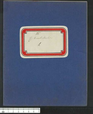 Das Mangobaumwunder (römische Kapitel-Zählung) - Kapitel VIII, Ein Urwaldabenteuer 1