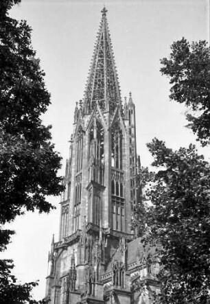 Freiburg: Münsterturm, umgeben von Bäumen