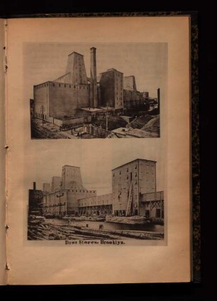 Dows Stores. Brooklyn.