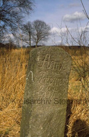 zwischen Sülfeld und Itzstedt (Kreis Segeberg): Grenzstein des Amtes Tremsbüttel zum Gut Borstel: auf Schmalseite Hufeisen-Symbol: an Norderbeste