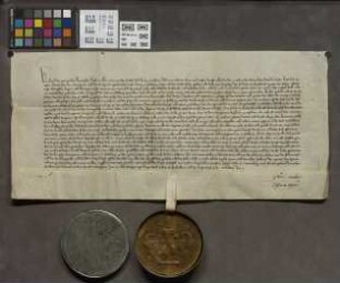 Friedberg: Kaiser Karl IV. für Burg Friedberg (Ungeld, Zoll, Morler Mark, Wiesen und Gärten