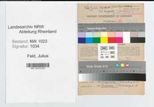 Entnazifizierung Julius Feld , geb. 12.09.1894 (Lehrer)
