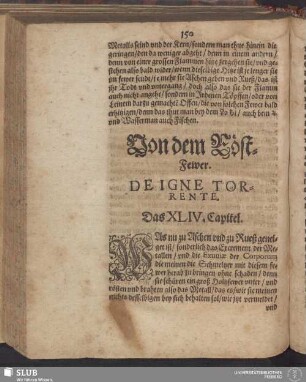 Von dem Röst-Fewer. De Igne Torrente. Das XLIV. Capitel