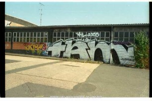 tAm