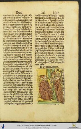 Von sant Agatha