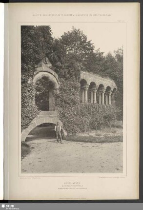 Gelnhausen, Kaiserliche Pfalz