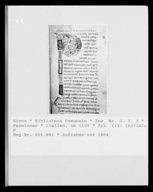 Passionar — Initiale P, Folio fol. 113