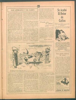 Los literatos y el campo