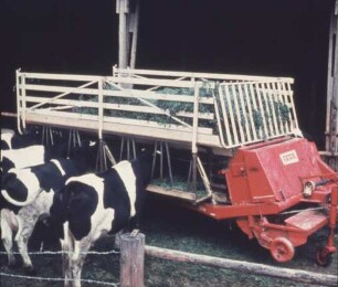 Fotografie: Weidehaltung, Milchviehhaltung, Futtervorlage, Raufenwagen, Ladewagen