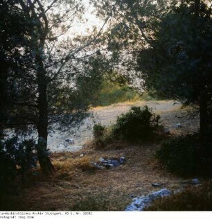 Israel: Tabor