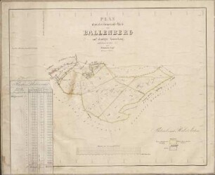 Plan über den Gemeinde-Wald von Ballenberg auf dortiger Gemarkung