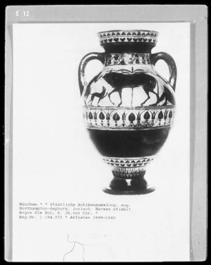 Northampton-Amphora, ionisch