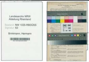 Entnazifizierung Hermann Brinkmann , geb. 14.07.1901 (Technischer Angestellter)
