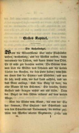 Der falsche Woldemar : Roman, 3