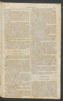 Capítulo XXI. - El último cuadro.