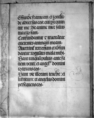 Gebetbuch Kaiser Maximilians I. — Textseite mit Schnörkel und grüner Federzeichnung, Folio 30recto