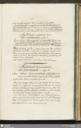 Mytilus edentulus. Tab. CCCCXXXIX. - fig. 1