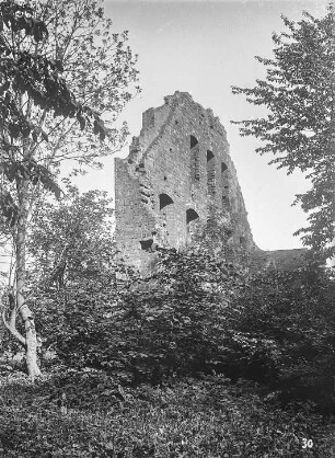Ruine der Wolfsscheune : Kloster Doberan, Ruine der Wolfsscheune, Ansicht von Süden