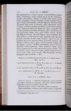 Genus 567. Lobops.
