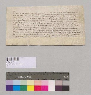 Abt Petrus und der Konvent des Klosters Weltenburg verleihen an Ulrich Hellriegel zu Poikam den Weingarten zu Poikam, gen. der Vogel, nach Baurecht. S1-2: A1-2