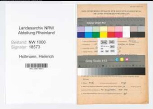 Entnazifizierung Heinrich Hollmann, geb. 19.04.1910 (Lokfuehrer)