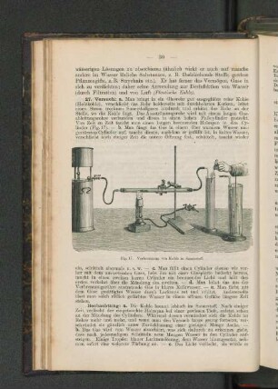 Fig. 17. Verbrennung von Kohle in Sauerstoff.