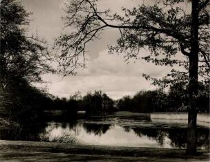 Berlin Tegel. Herbstimpression am Tegeler See