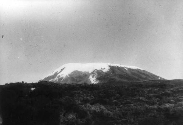 Kibo from the saddle plateau