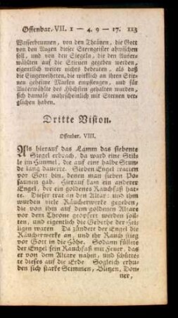 Dritte Vision. Offenbar. VIII.