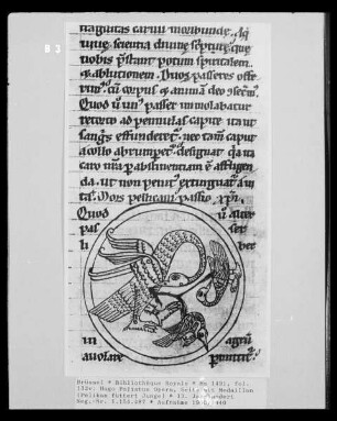 Ms 1491, fol. 132v: Hugo Foliatus Opera, Medaillon, Pelikan füttert seine Jungen