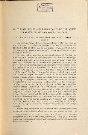 On the structure and development of the vertebral column of Amia